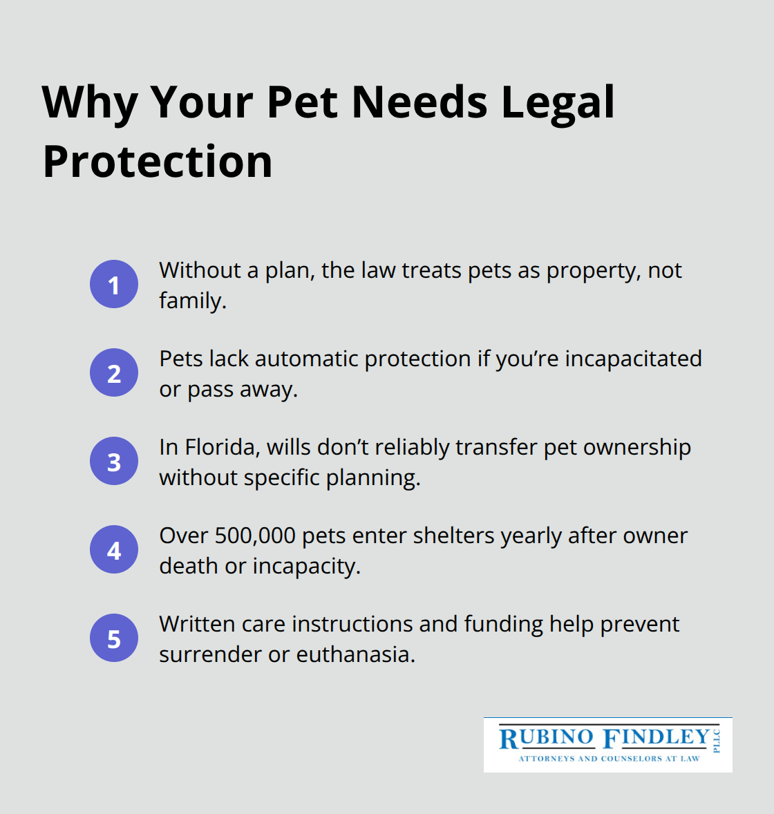 Key reasons pets need legal protection to avoid shelter risk and ensure care